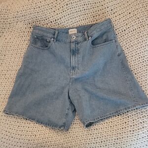 Everlane The Long Denim Short Light Blue Jean Shorts, Size 32